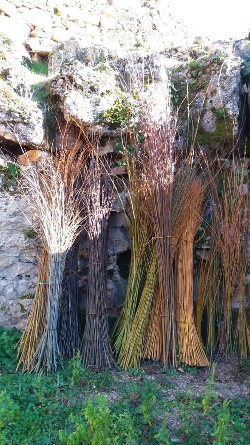 L'Oseraie Du Quercy Calvignac Εξωτερικό φωτογραφία